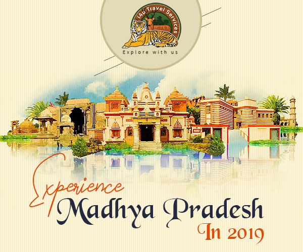 Experience Madhya Pradesh in 2019