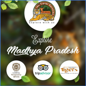 Explore Madhya Pradesh