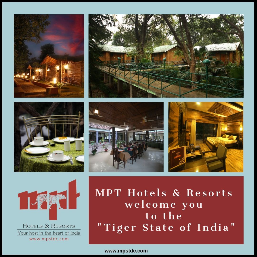 mp tourism online safari booking