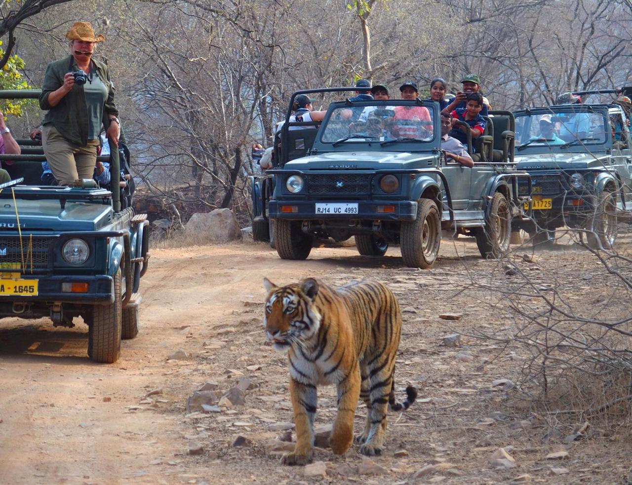 National Parks Tiger Reserves of Madhya Pradesh